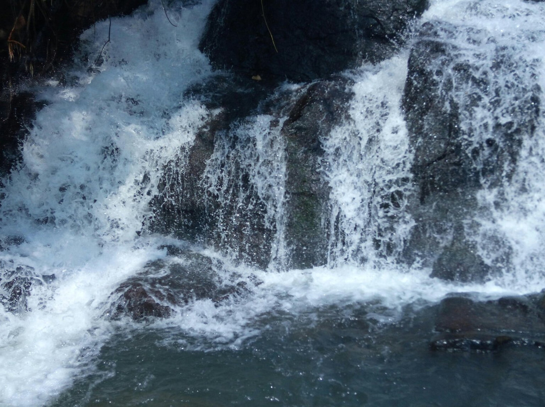 Aruvikkuzhi Waterfall景点图片
