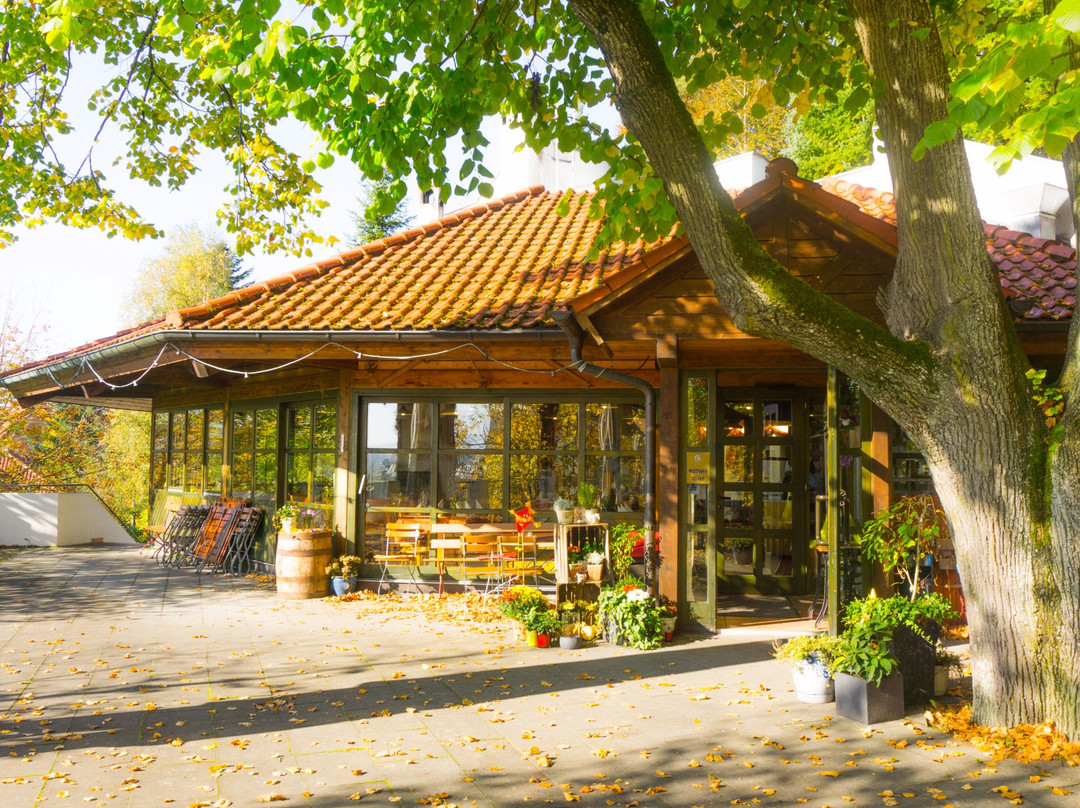 Pflugkeller Biberach