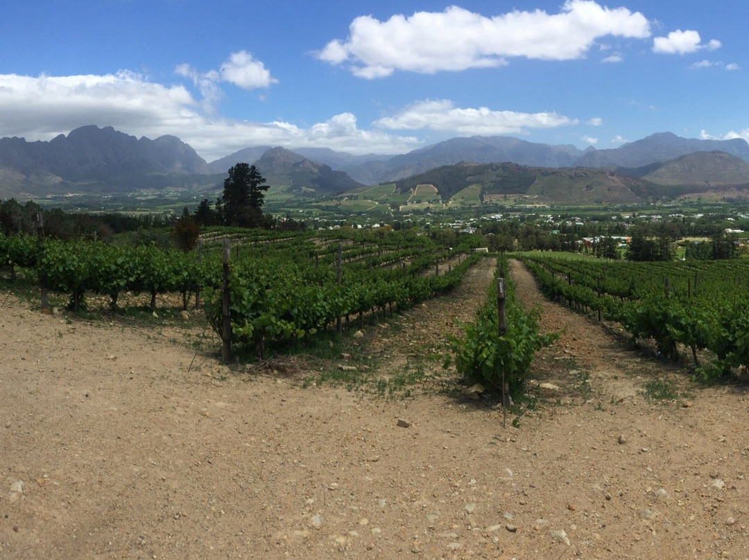 Umzantsi Afrika Tours-伊丽莎白港必去景点