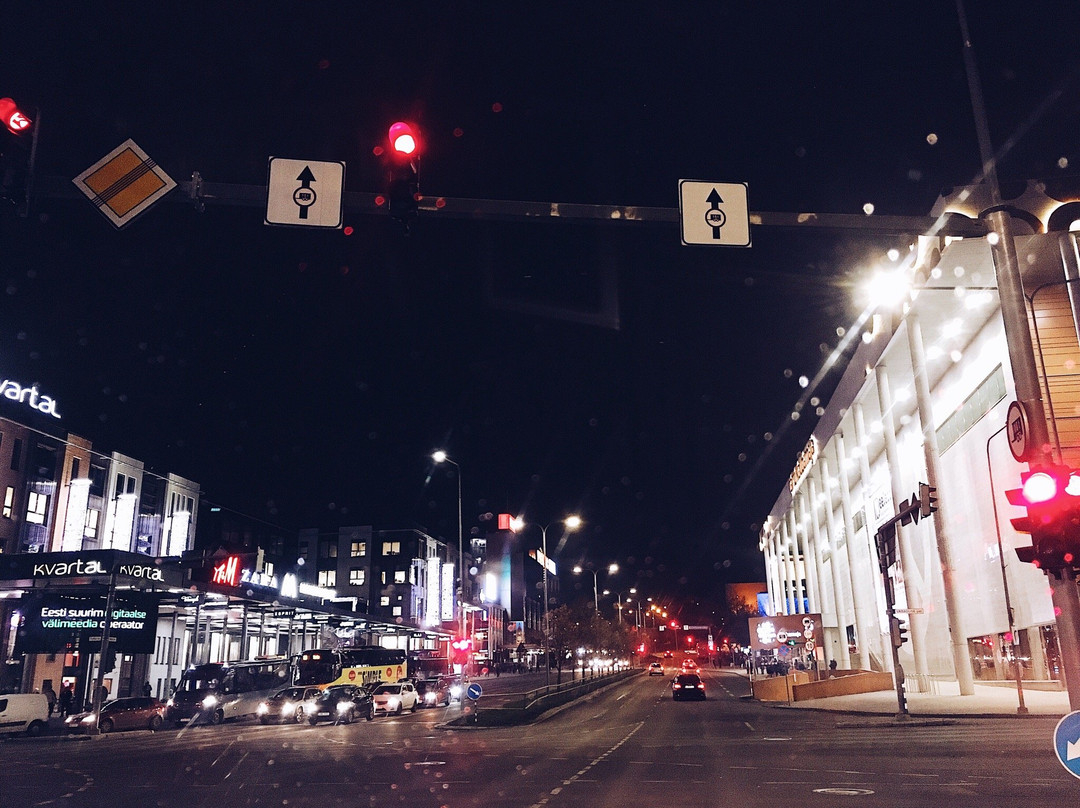 Kvartal-塔尔图必去景点