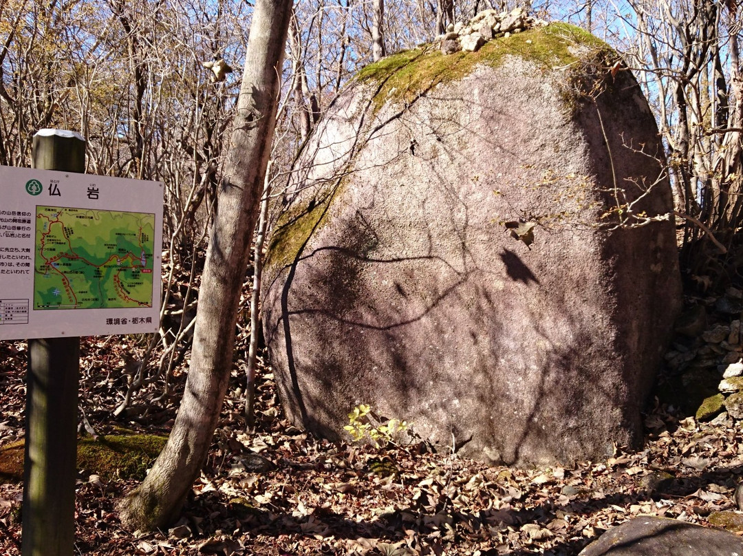 Ido Wetland-鹿沼市必去景点