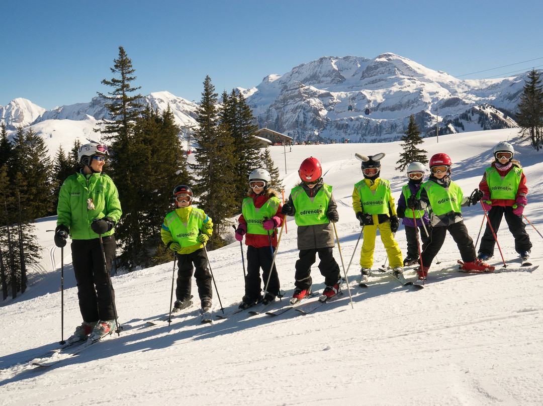 Adrenalin Skischule Lenk景点图片