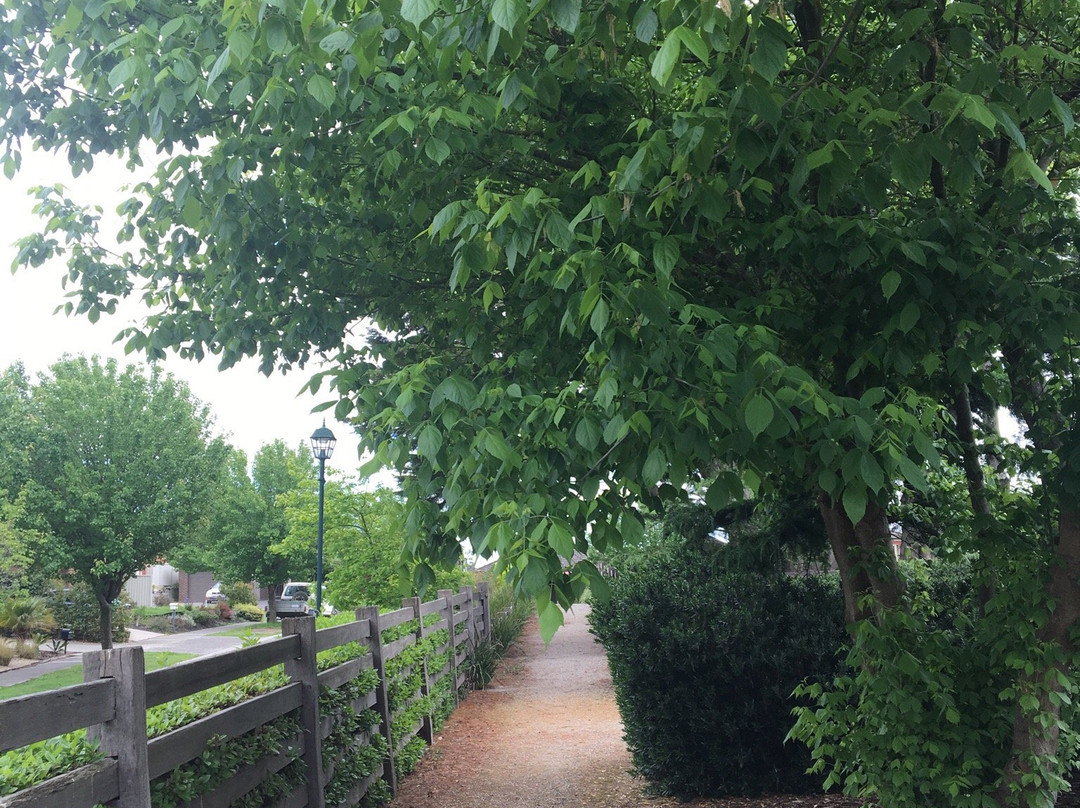 Kennels Lane Playground景点图片