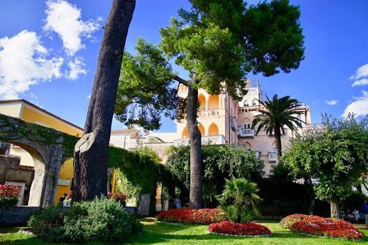Belvedere Principessa di Piemonte景点图片