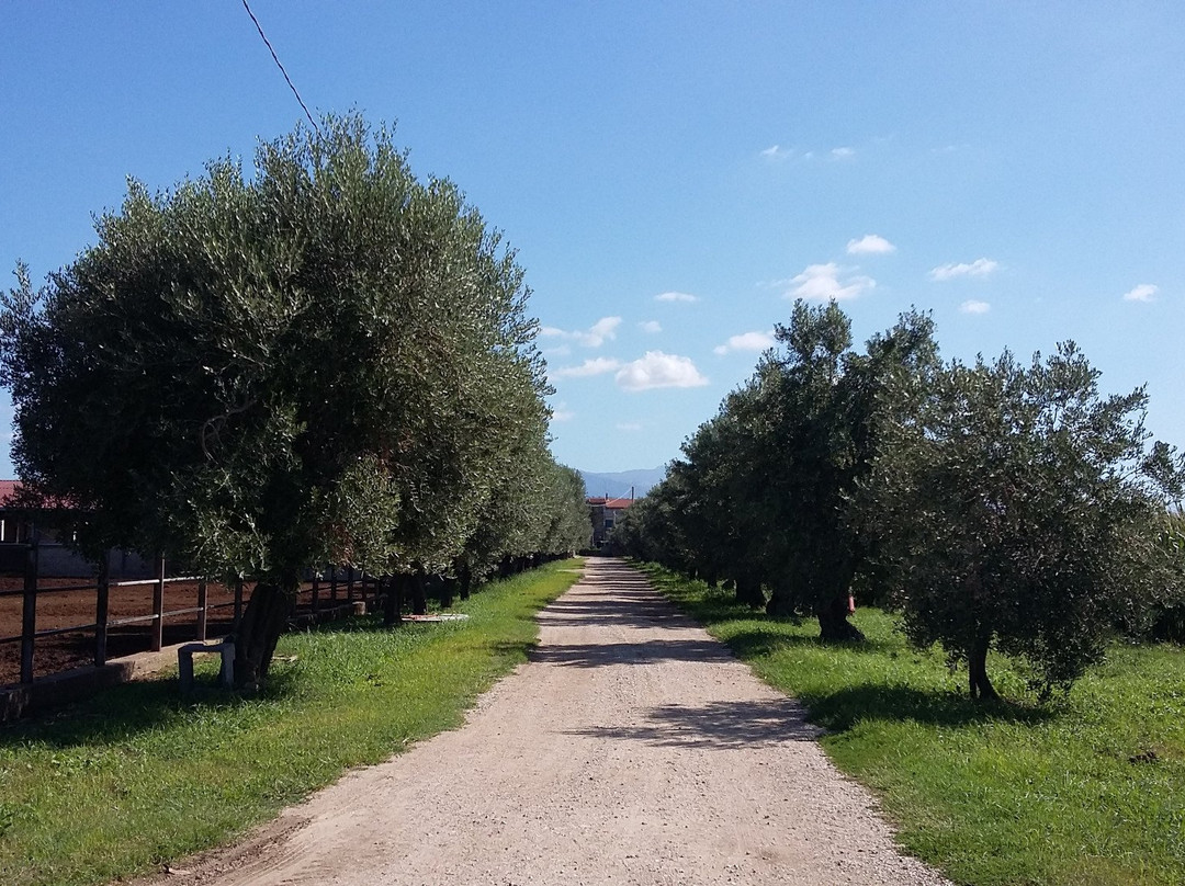 Azienda Agrituristica Seliano-Paestum必去景点