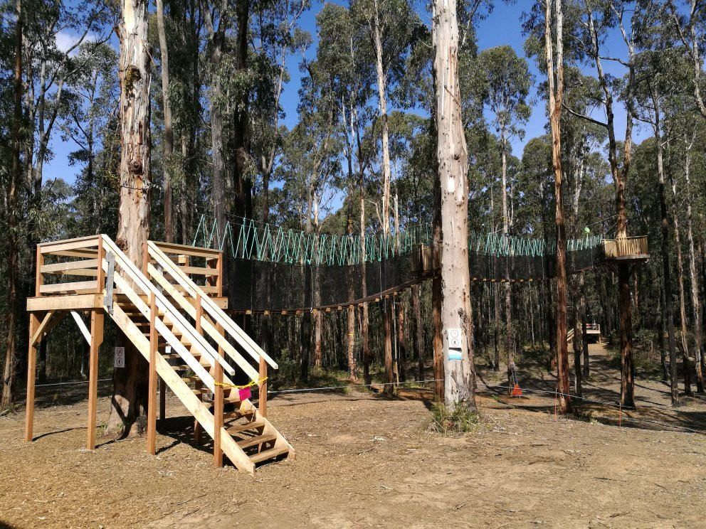 Kinglake Forest Adventures-Kinglake必去景点