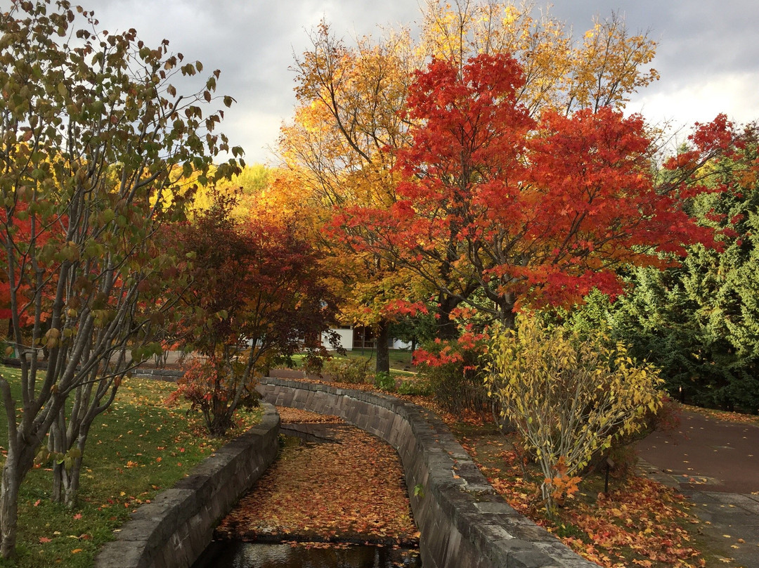 Sapporo Sculpture Garden-札幌市必去景点