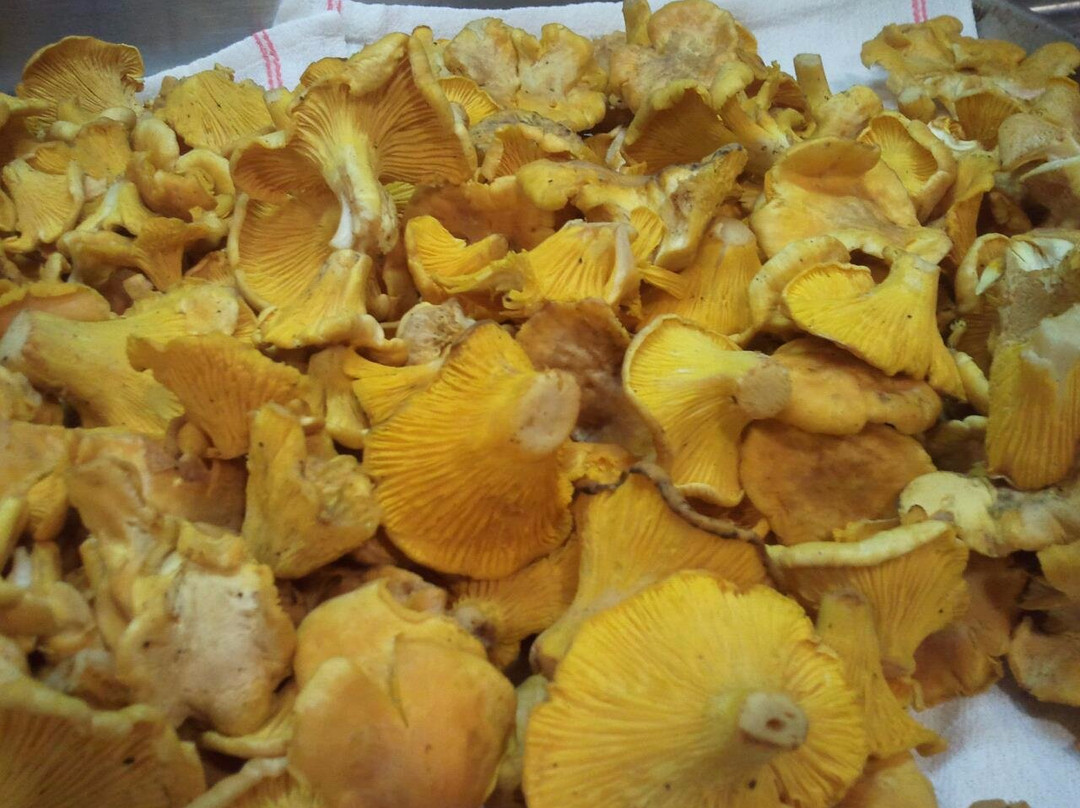 格伦伍德温泉餐馆和美食-The Pullman