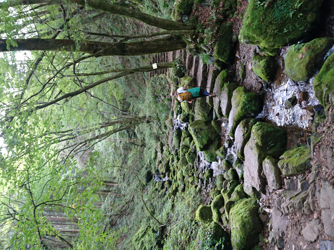 Ayahiro Falls-青梅市必去景点