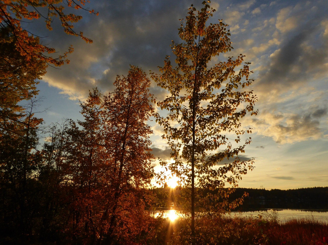 Ten Mile Lake Provincial Park景点图片