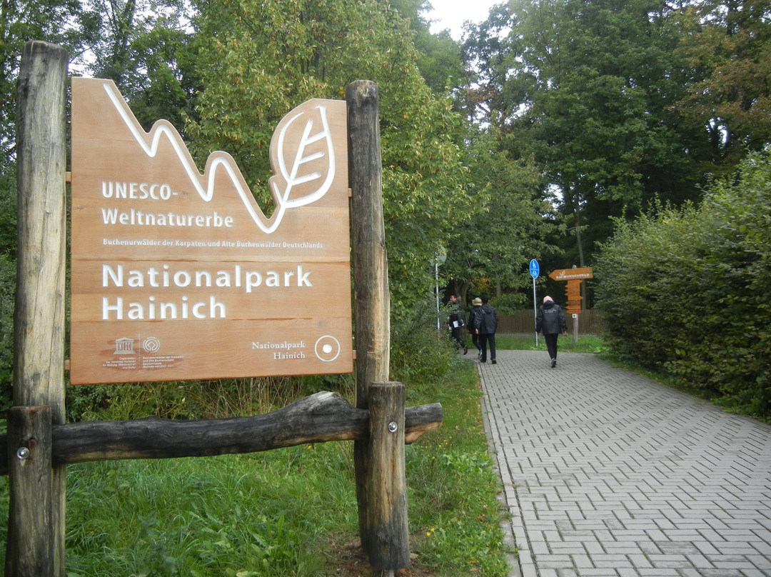 Nationalpark Hainich-Bad Langensalza必去景点