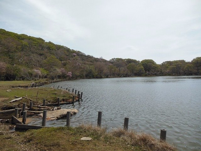 Hatchoike Pond-伊豆市必去景点