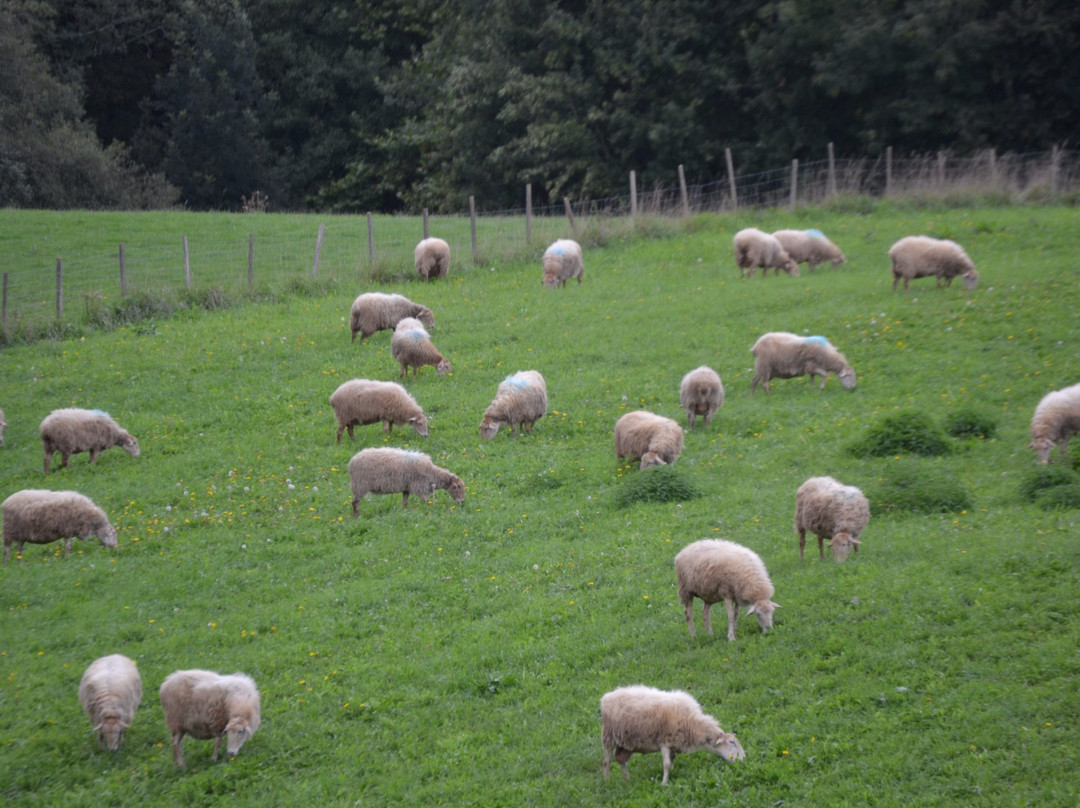 Ferme d'Agerria景点图片