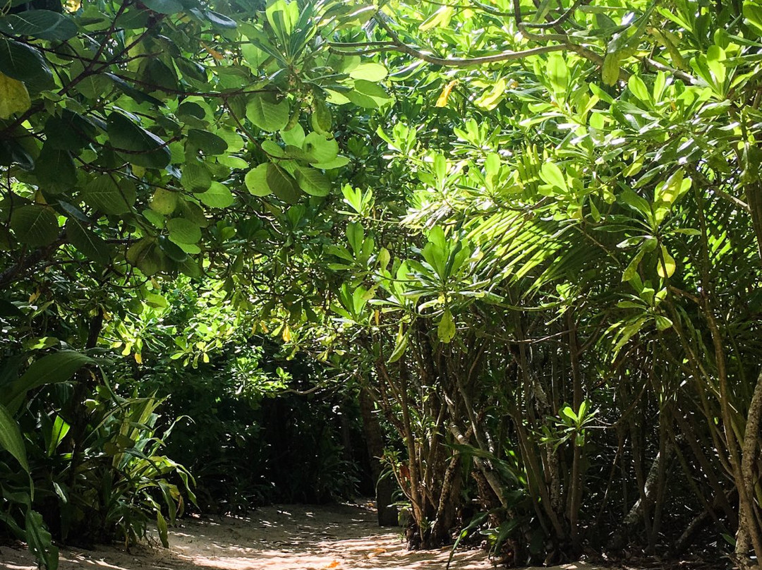 Parola Island-Jose Panganiban必去景点