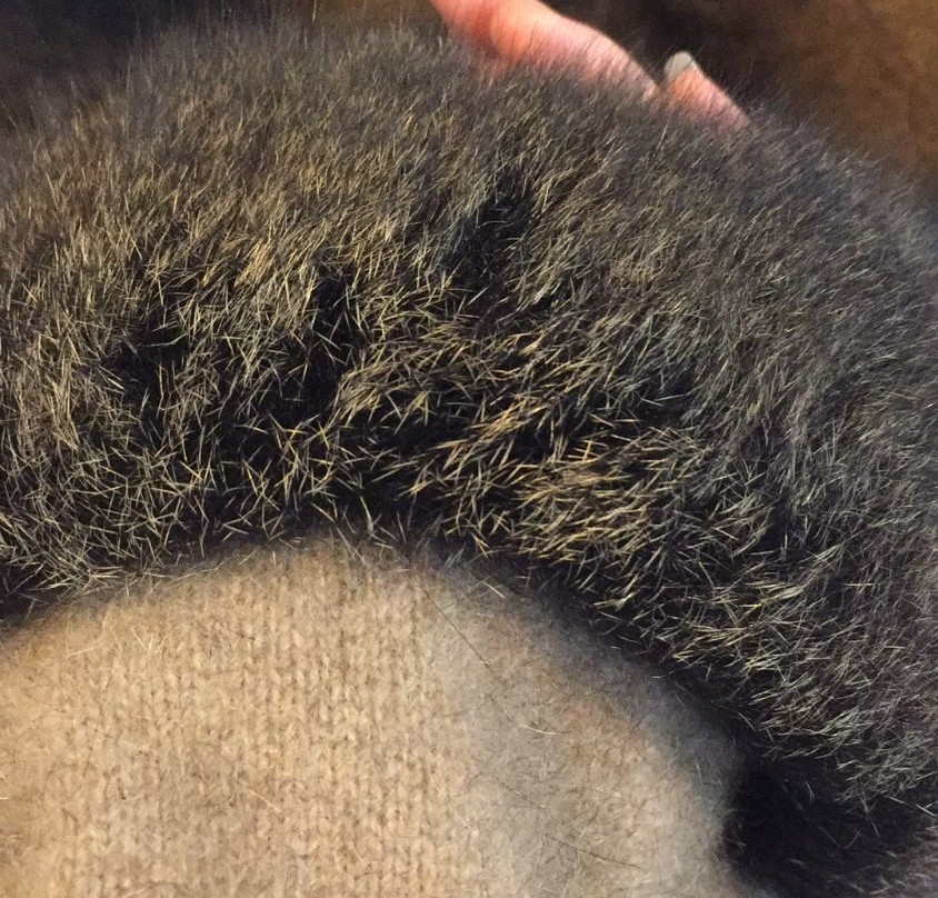 Woolly For You-奥克兰中心地区必去景点