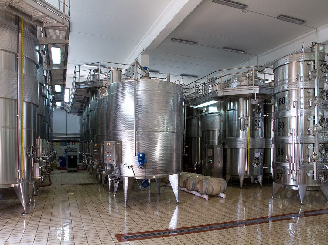 Cantine Le Grotte-Apricena必去景点