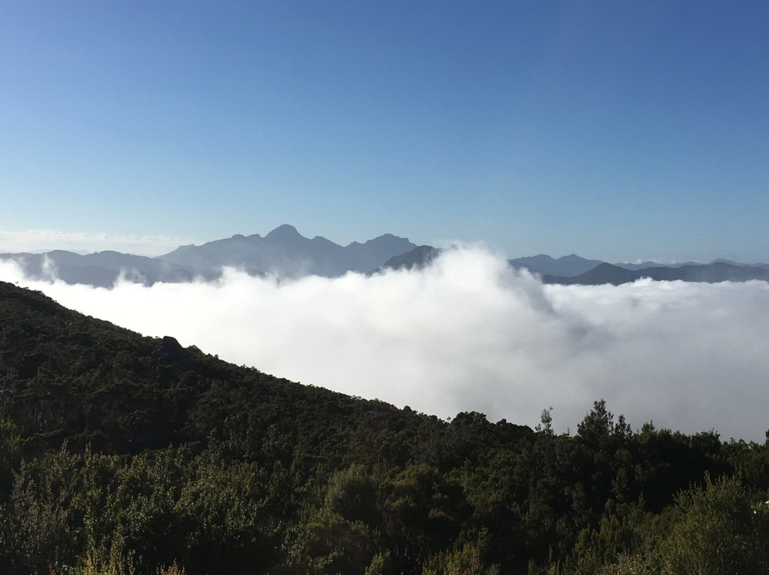 RoamWild Tasmania-皇后镇必去景点