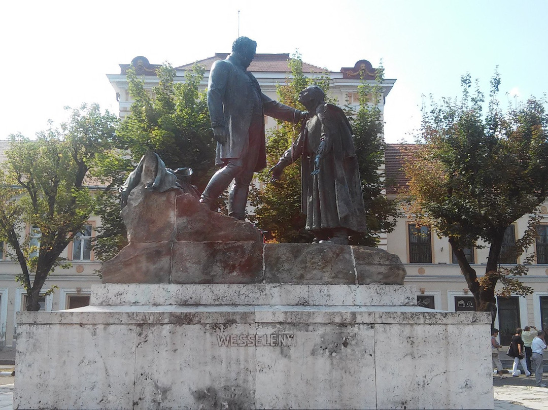 Wesselényi Statue景点图片