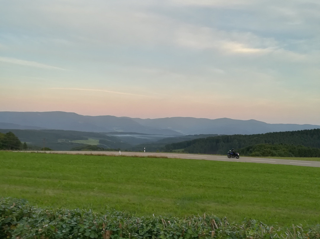 Schuttertal餐馆和美食-Schwarzwaldstüble