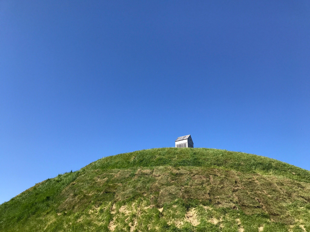 Thufa (þúfa)-雷克雅未克必去景点