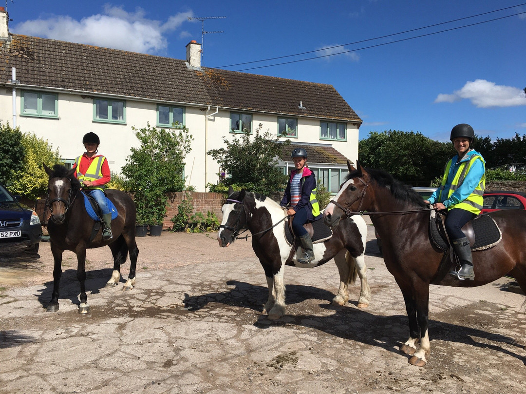 Hobby Horse Riding Centre景点图片