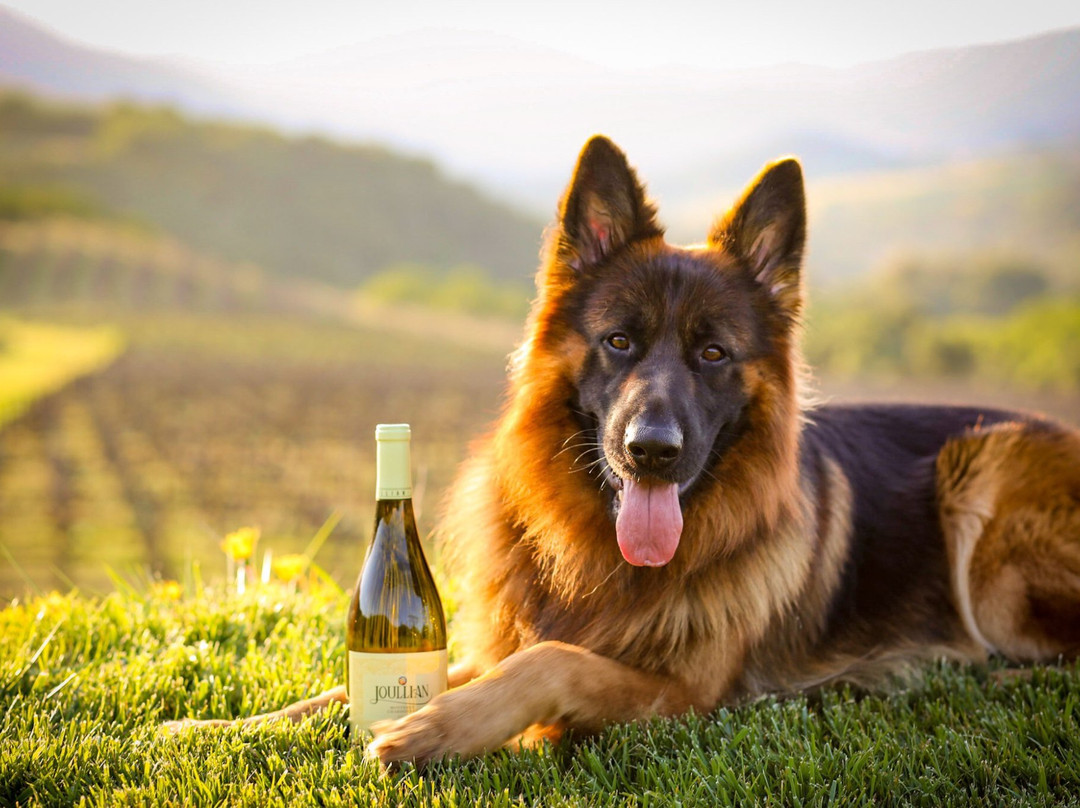 Joullian Vineyards & Winery-卡梅尔瓦利必去景点