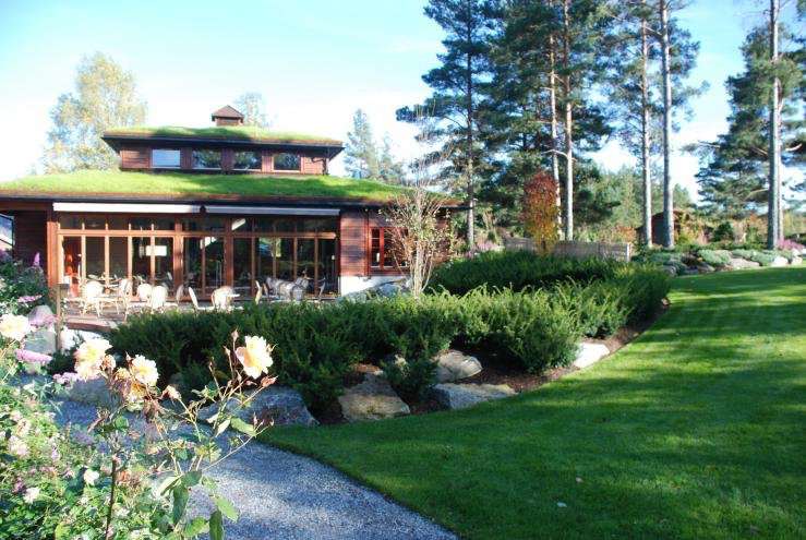 Odden Camping