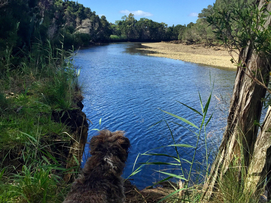 Bell's Parade-Latrobe必去景点
