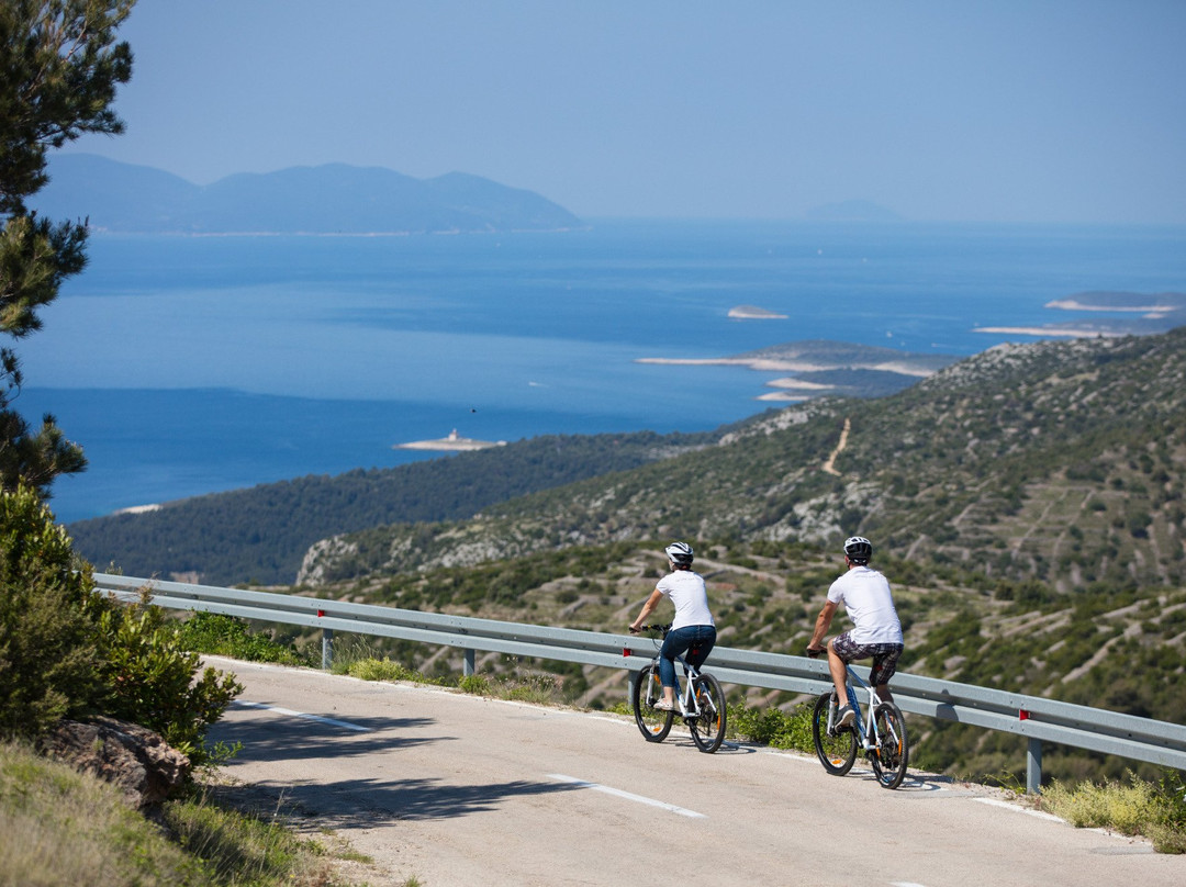 Natural Hvar Tours景点图片