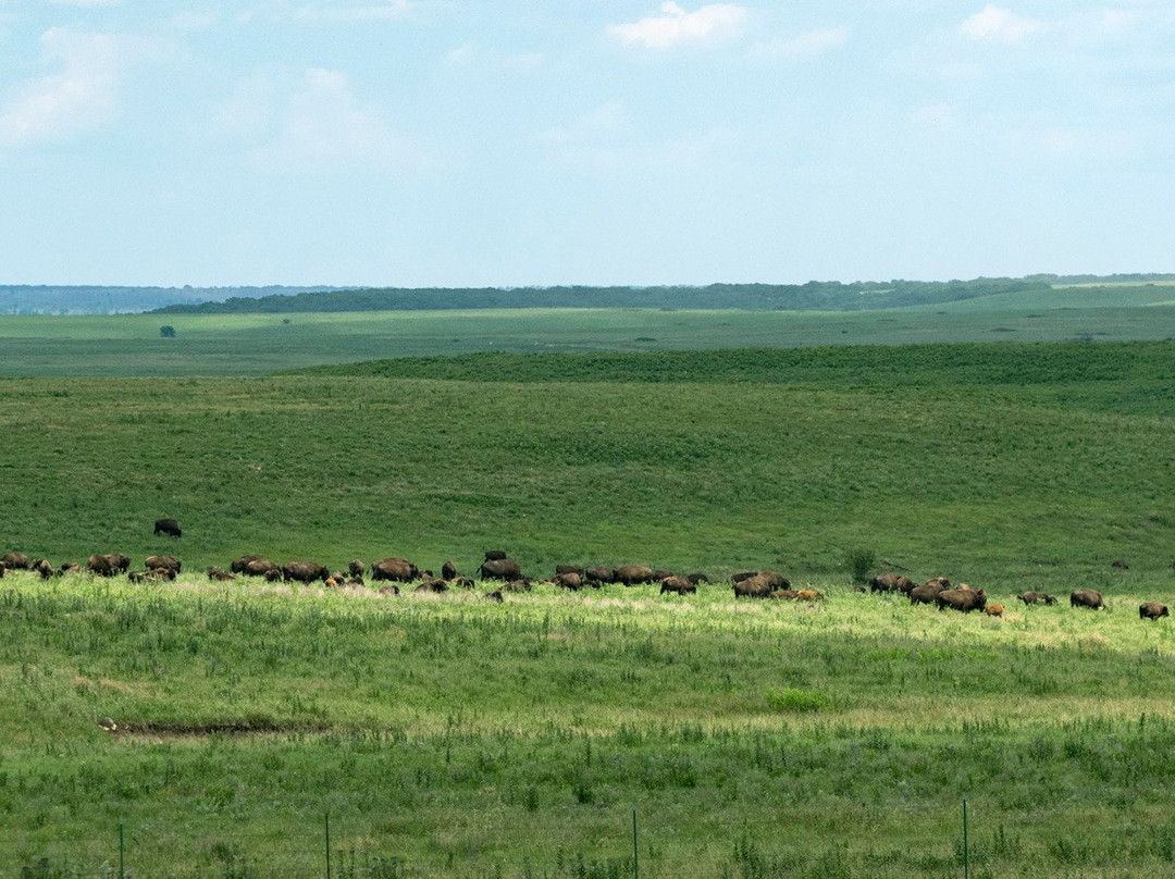 Joseph H. Williams Tallgrass Prairie Preserve-Pawhuska必去景点
