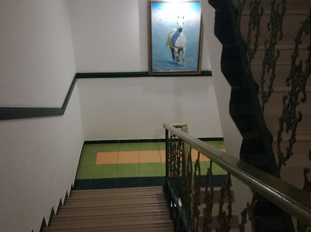 Altyn-Adam Hotel主图