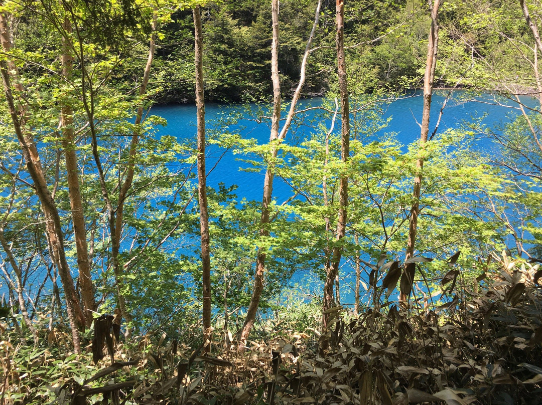 Onumaike Pond景点图片