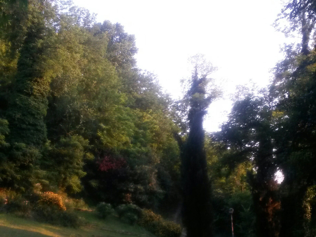 Parco Colline Moreniche di Castiglione景点图片