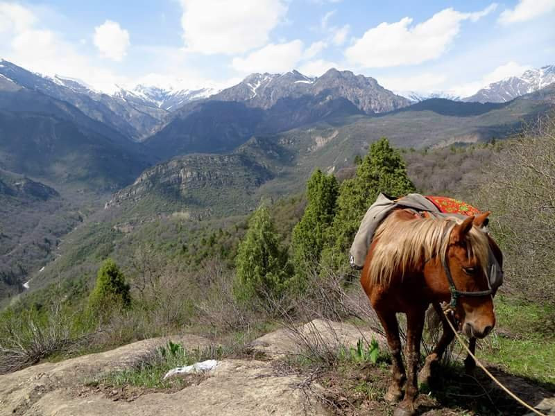 Sary Chelek Biosphere Reserve-Jalal-Abad Province必去景点