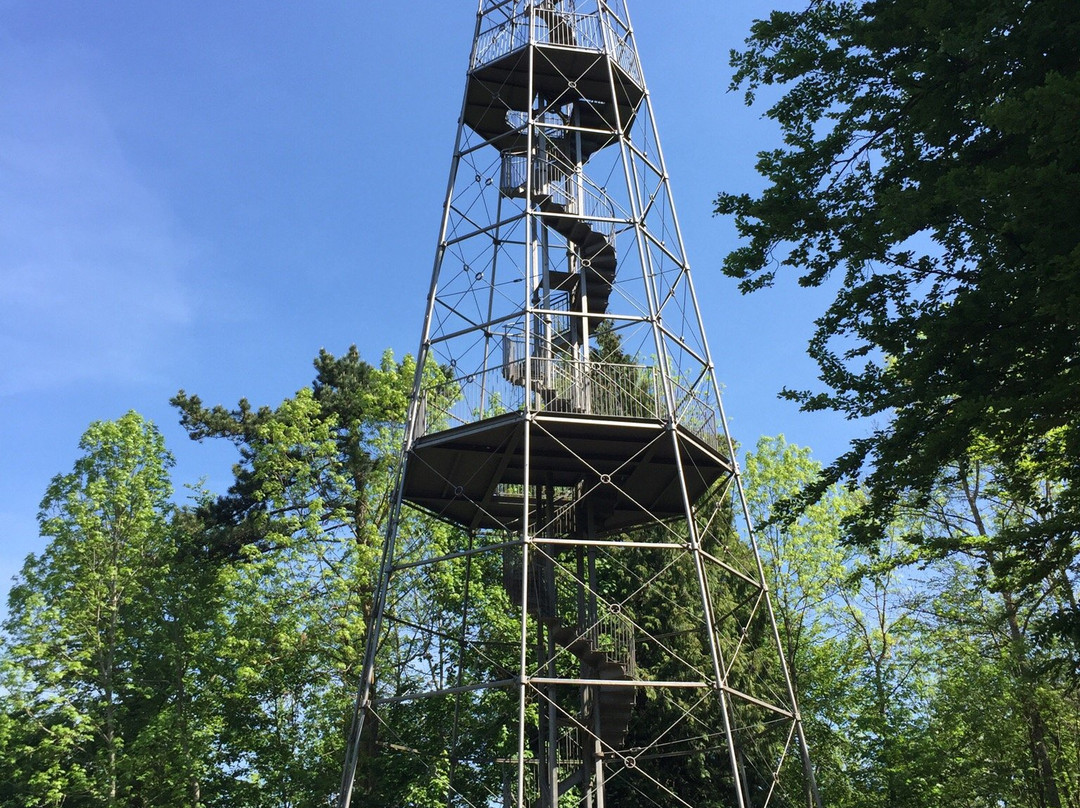 Aussichtsturm auf der Wanne-Villingen-Schwenningen必去景点