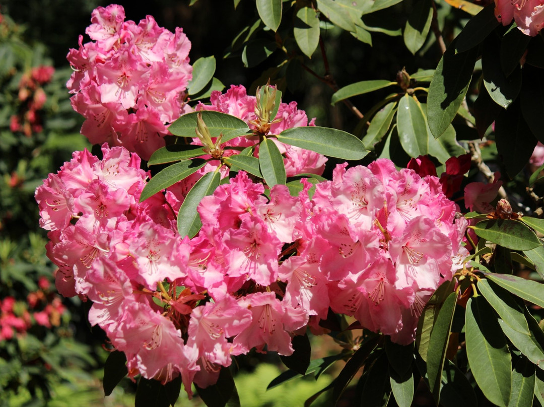 The Glades,  457 172 St, Surrey, Bc V3s 9p8-素里必去景点