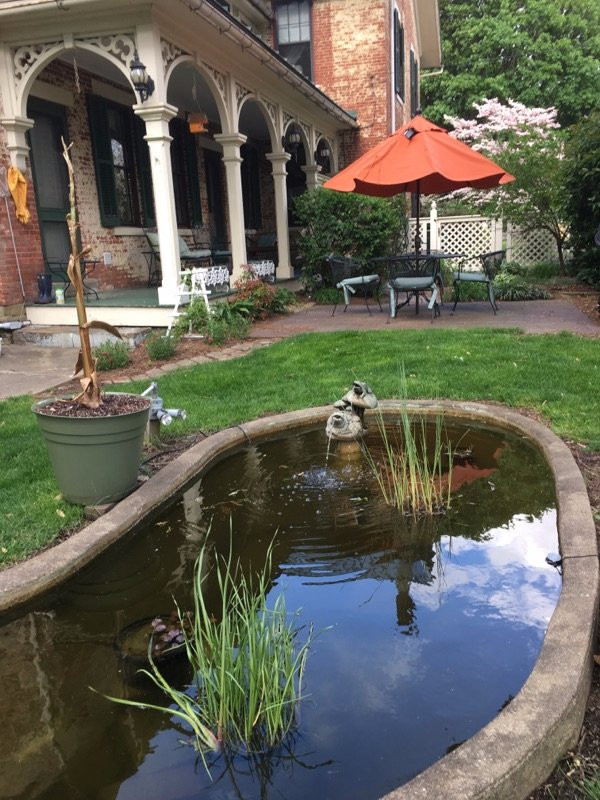 The Gasche House Bed and Breakfast主图