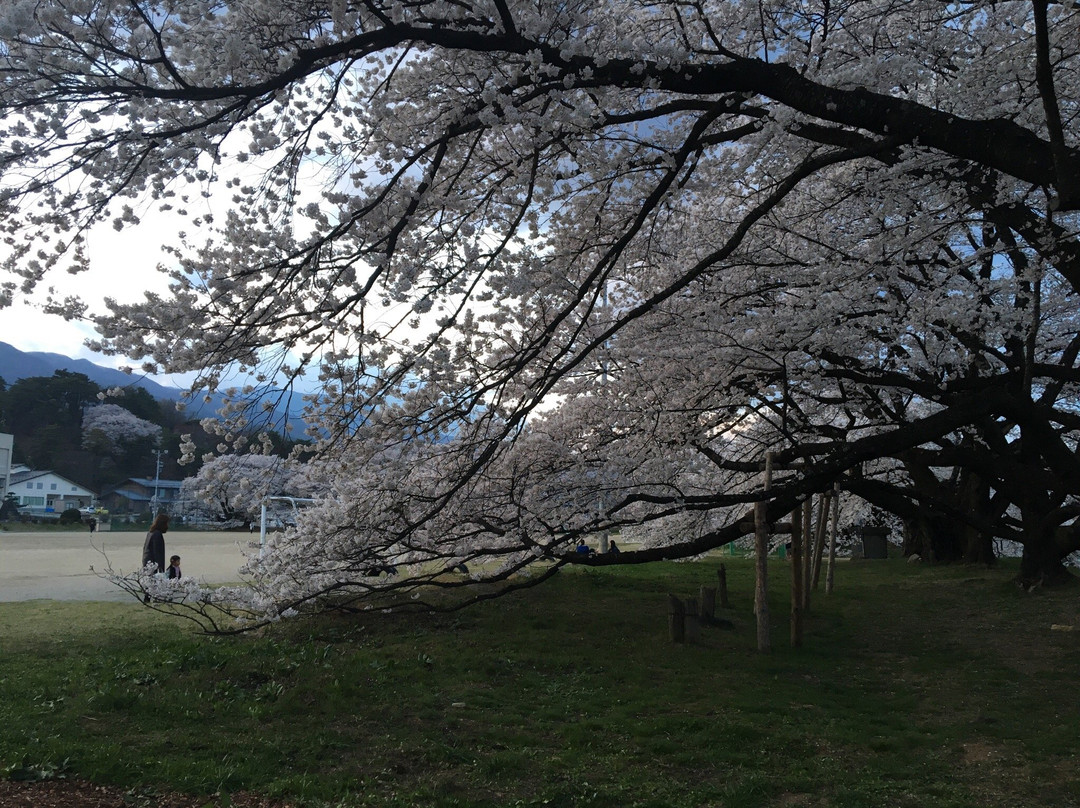 Takamori Minami Elementary School-高森町必去景点