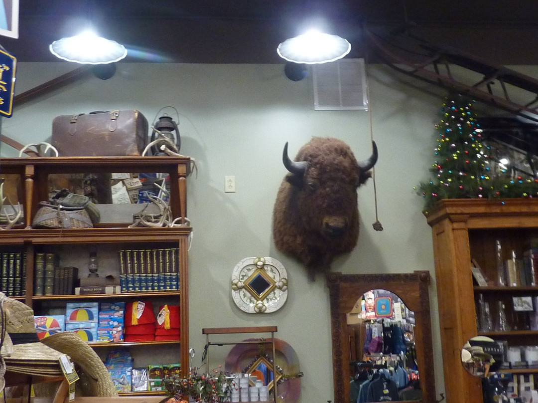 Emery's 5&10-皮金福奇必去景点