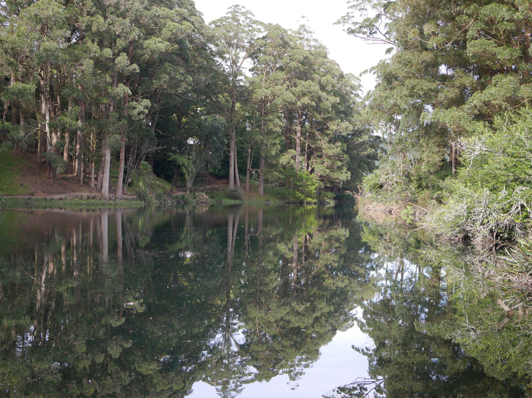 陶兰加旅游攻略图片