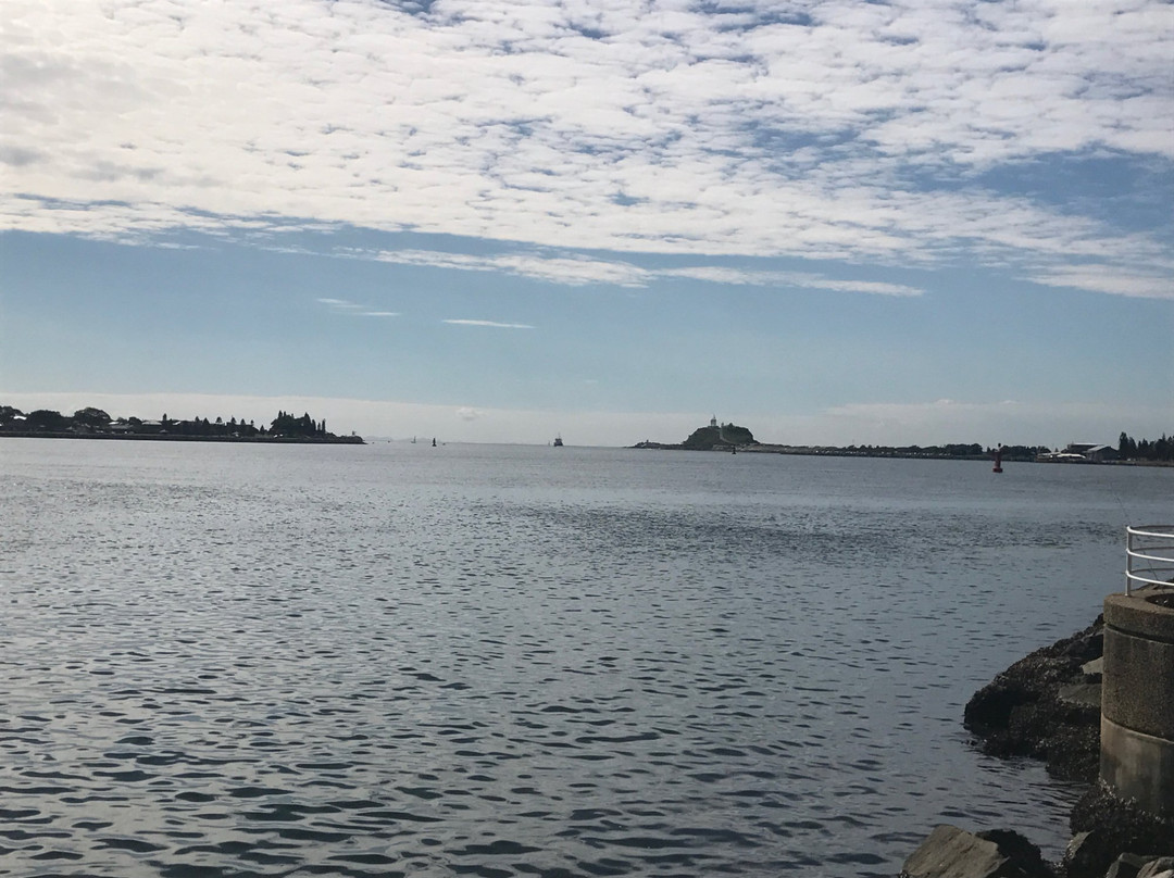 Watt Street Wharf-纽卡斯尔必去景点