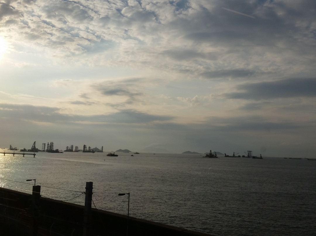 中国熊-香港必去景点