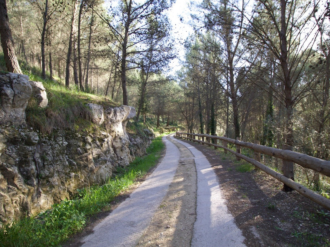 Parco forestale Calaforno景点图片