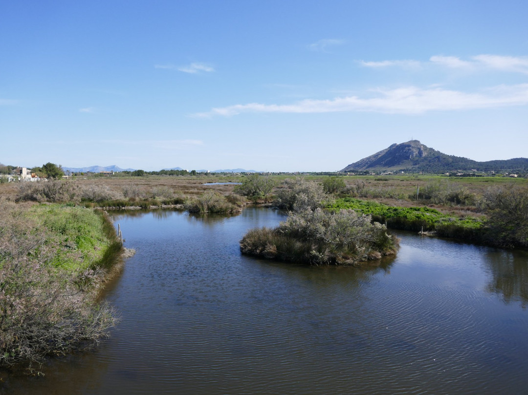 波连萨旅游景点-S'Albufereta Natural Reserve