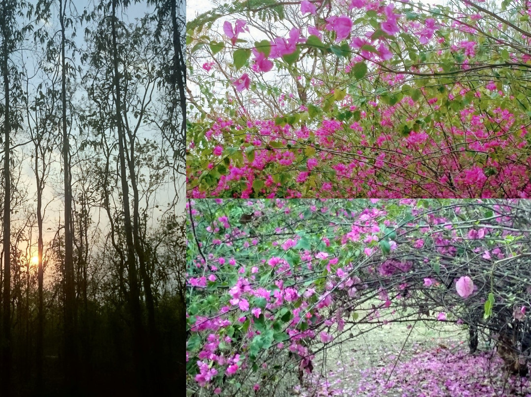 Bhalki旅游攻略图片