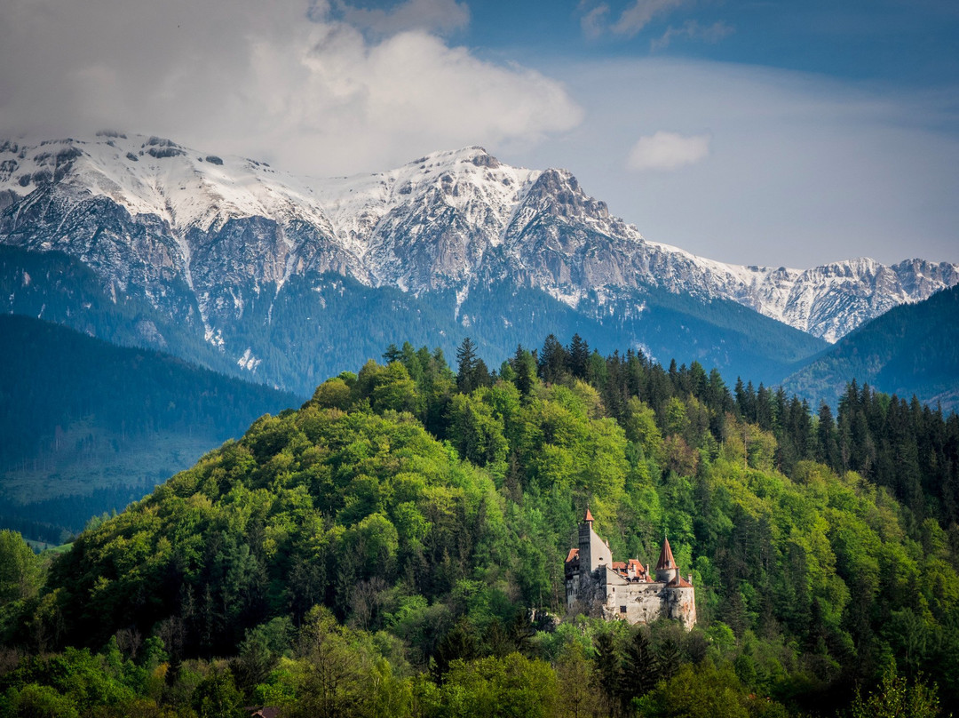 True Romania Tours景点图片