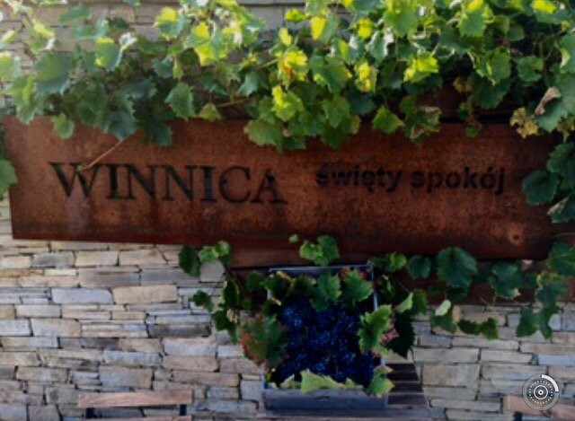 Swiety Spokoj Vineyard景点图片