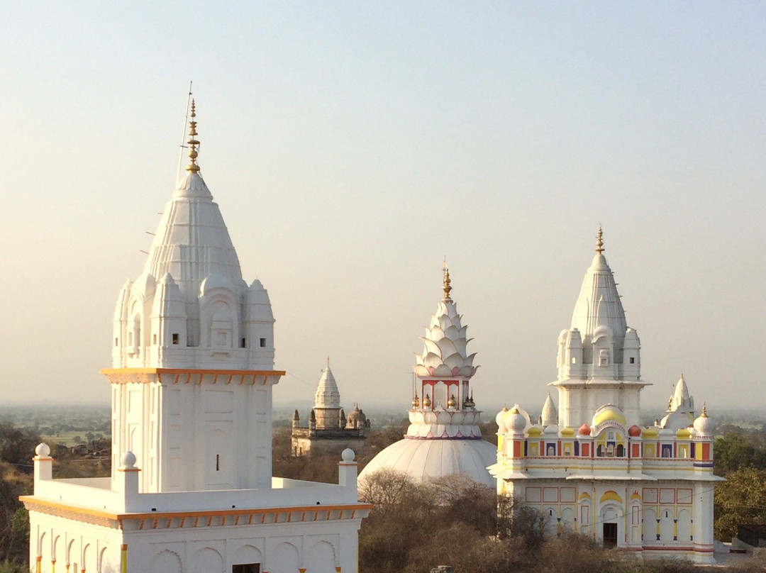 Jain Temple Sonagiri景点图片
