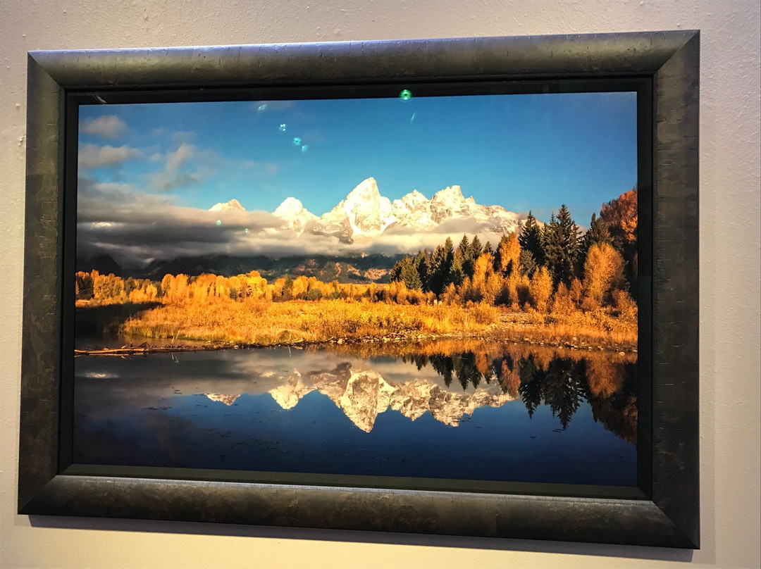 MANGELSEN-Images Of Nature Gallery-杰克逊必去景点