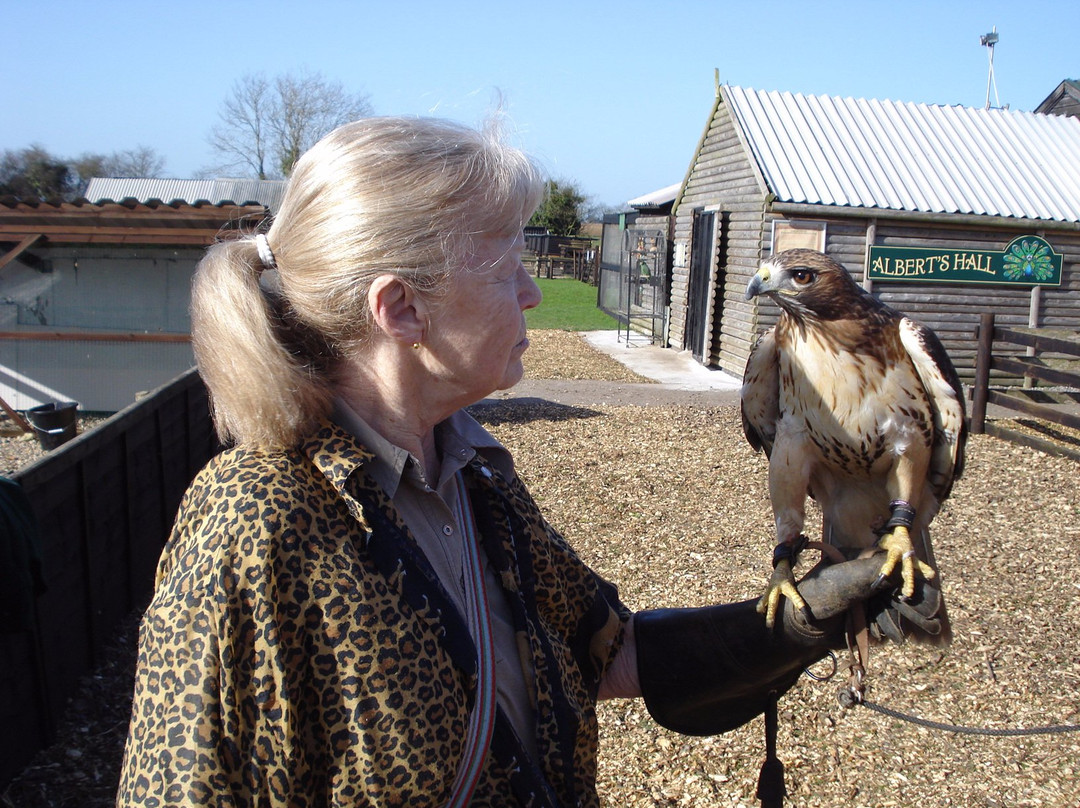 Rushmoor Farm Park and Falconry Centre景点图片